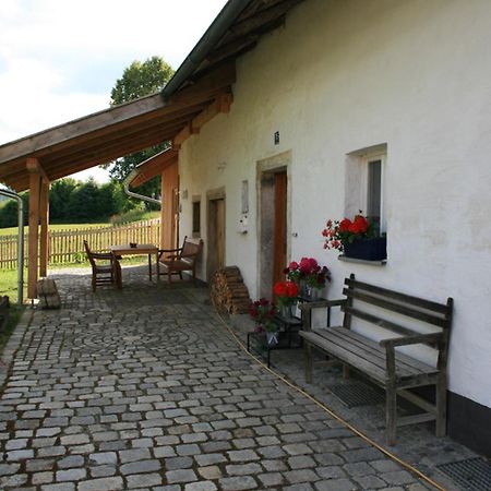 Ferienhaus Winter Blaibach ภายนอก รูปภาพ