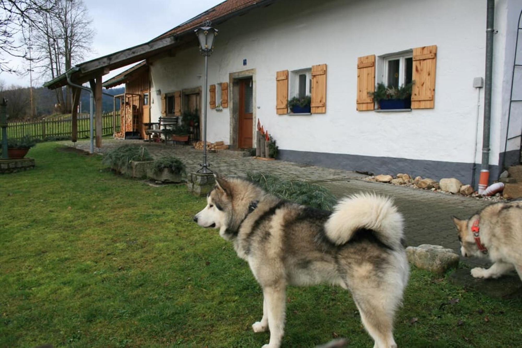 Ferienhaus Winter Blaibach ภายนอก รูปภาพ