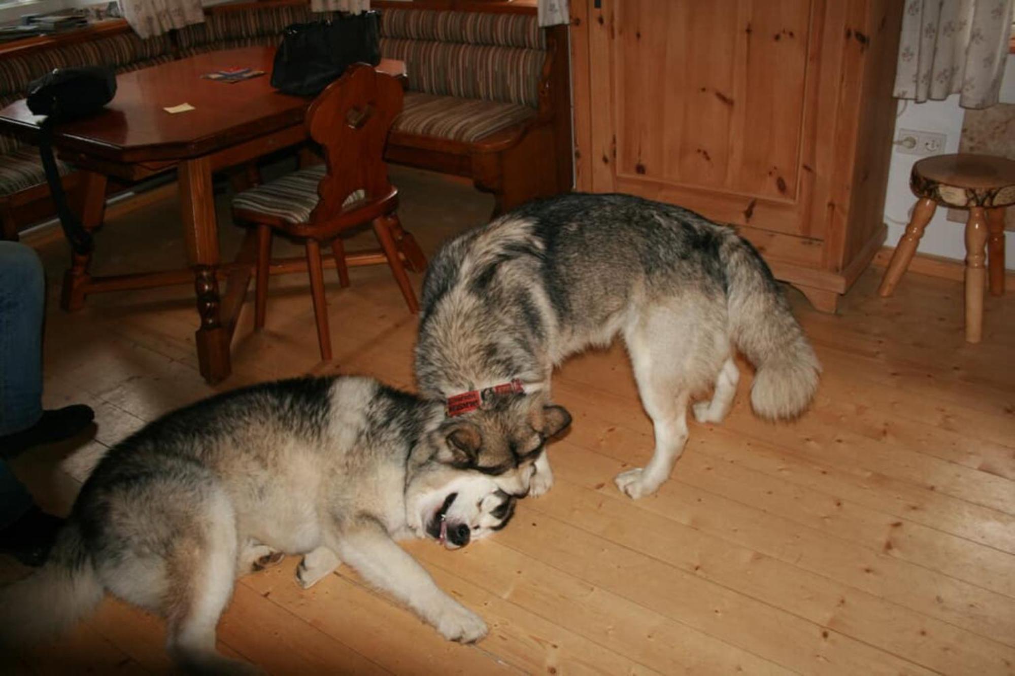 Ferienhaus Winter Blaibach ภายนอก รูปภาพ